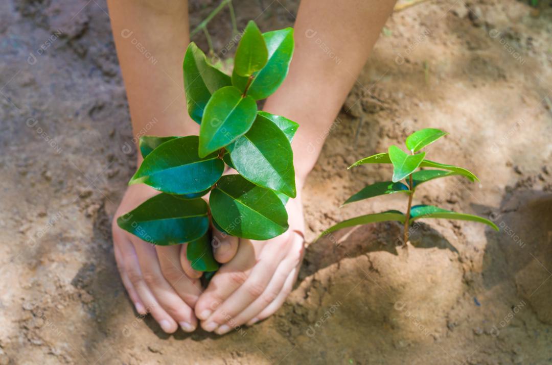 Ótimo conceito de sustentabilidade. Mão de criança plantando uma árvore.