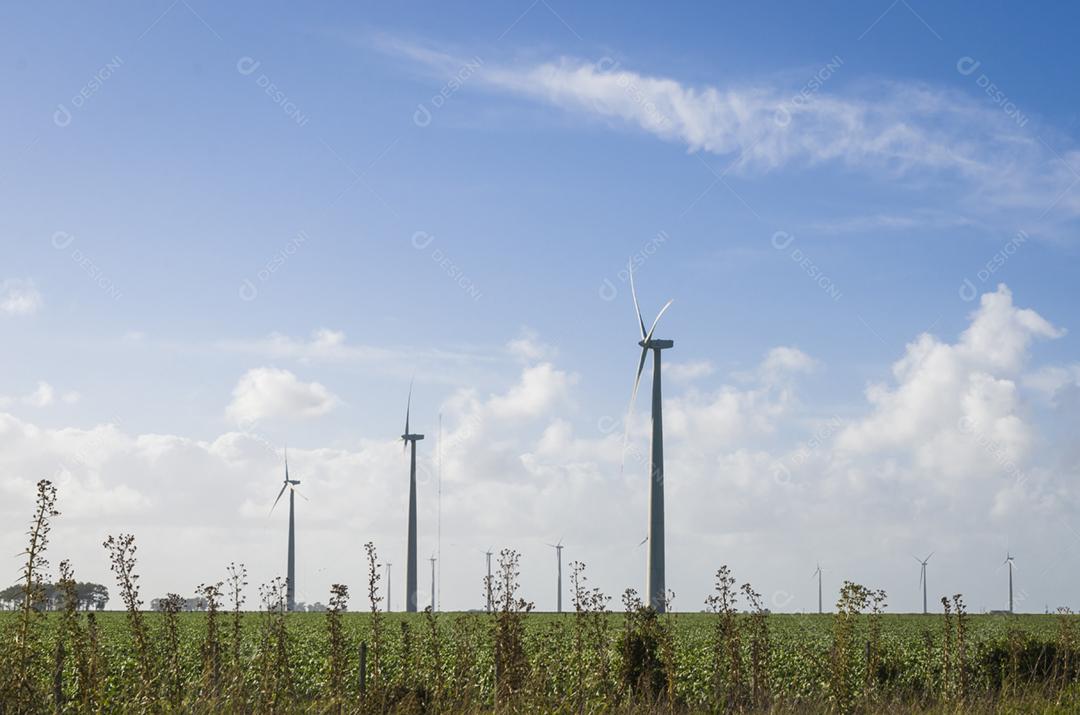 Windmills during bright summer day with blue sky, clean and renewable energy concept