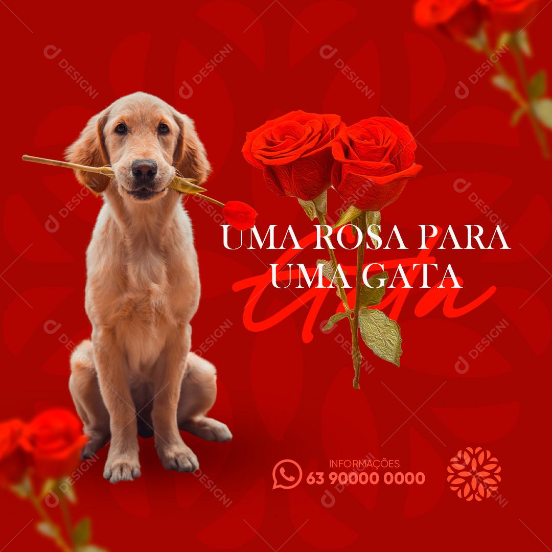 Social Media Floricultura Uma Rosa Para Uma Gata PSD Editável