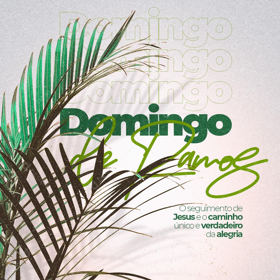Domingo De Ramos O Seguimento De Jesus Social  Media PSD Editável