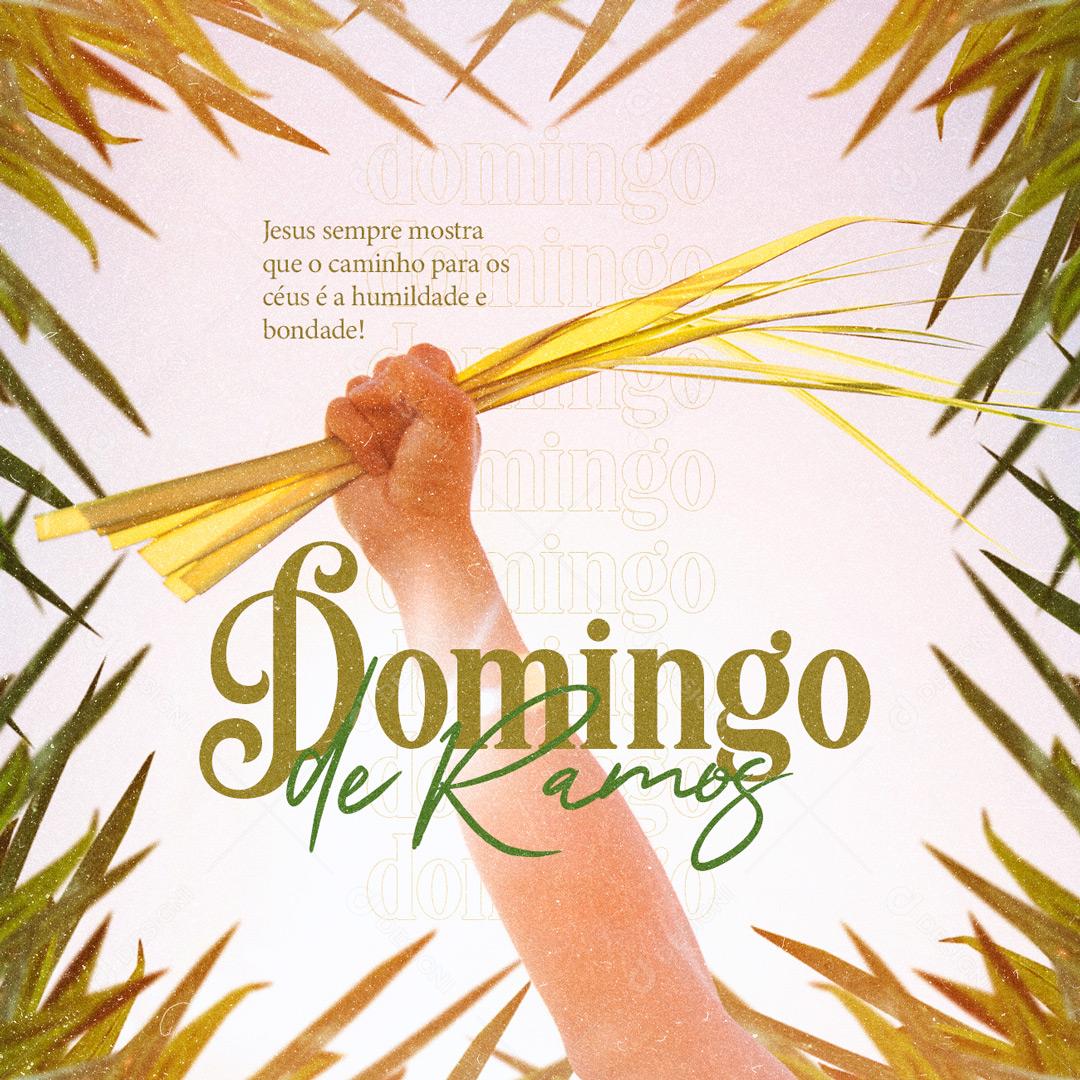 Domingo De Ramos O Seguimento De Jesus Social  Media PSD Editável
