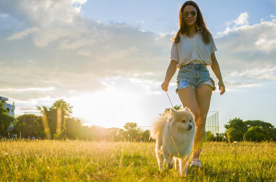 Jovem mulher bonita brincando com cachorro Spitz alemão no parque de verão