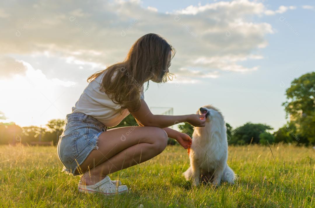 jovem mulher bonita brincando com cachorro Spitz alemão no parque de verão
