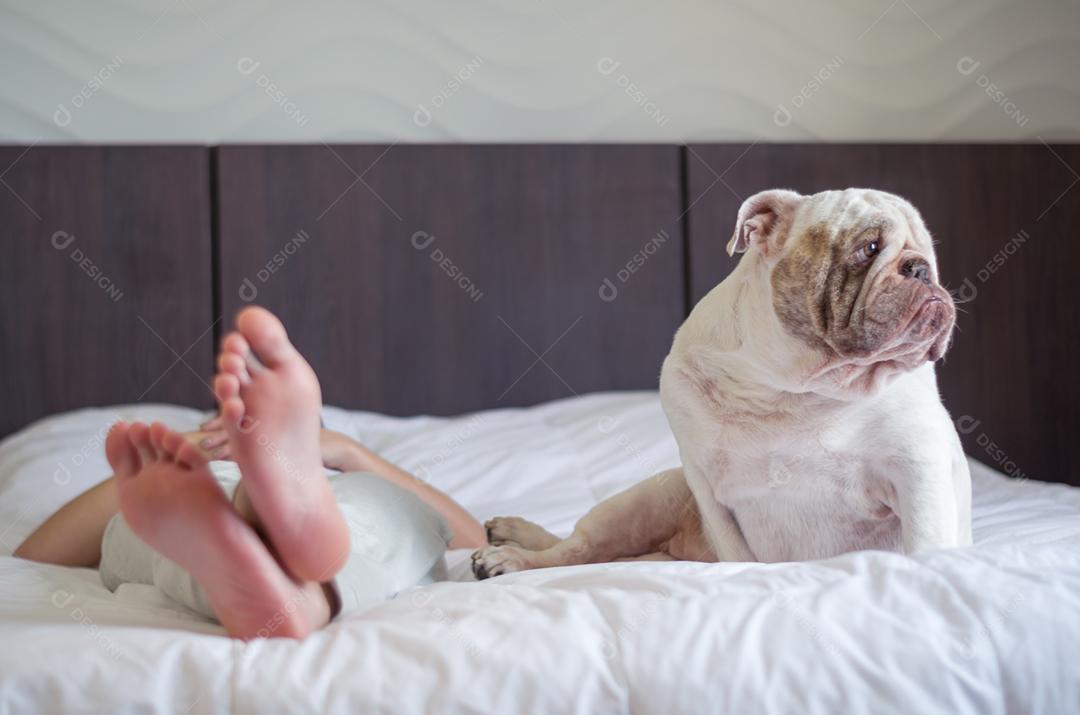 Linda mulher dormindo na cama com cachorro bulldog inglês. Somente os pés.