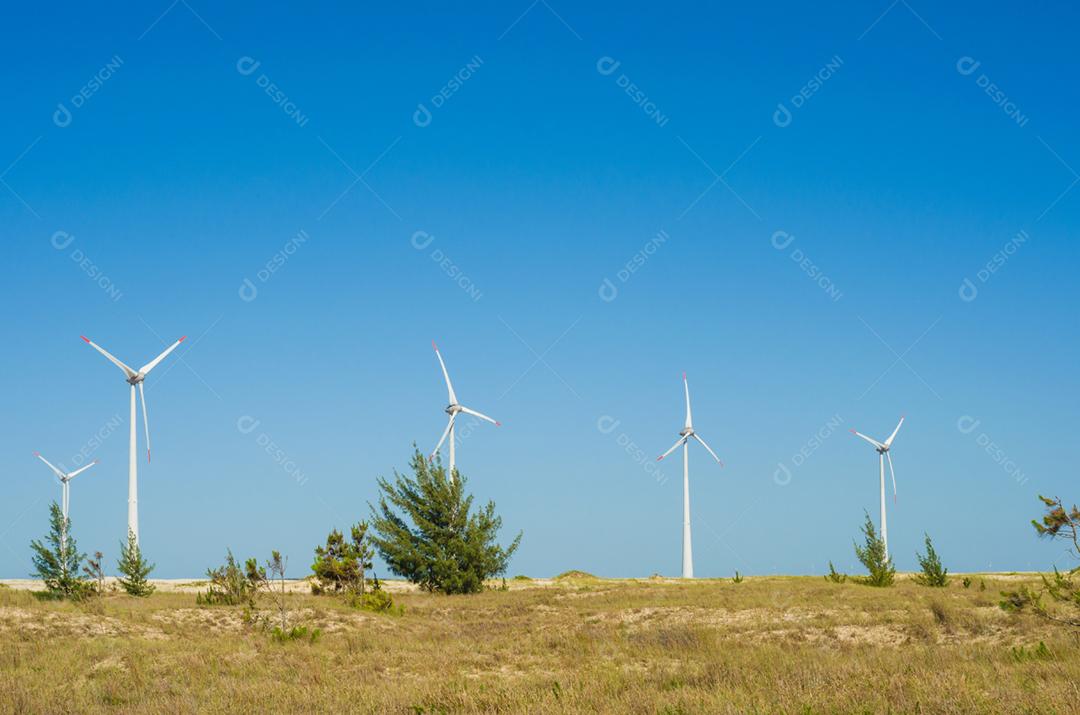 Grande conceito de energia renovável e sustentável. Campo de vento com turbinas eólicas
