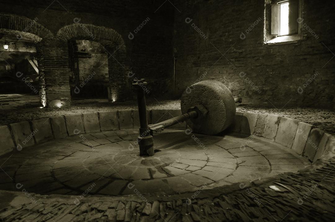 Moedor de pedra antigo para cereais e agave azul.