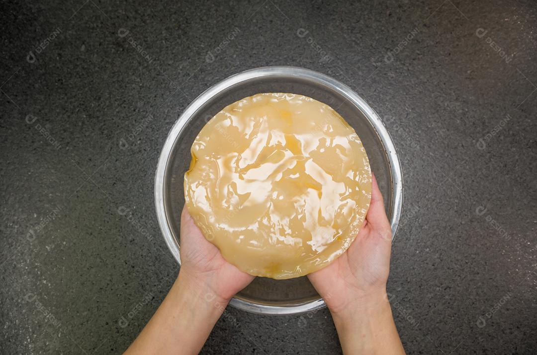 Mão segurando o cogumelo de chá kombucha scoby contra fundo de pedra com tigela