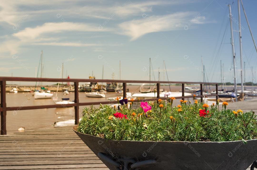 Paisagem vazo de flores vermelhas sobre fundo barcos sobre lago