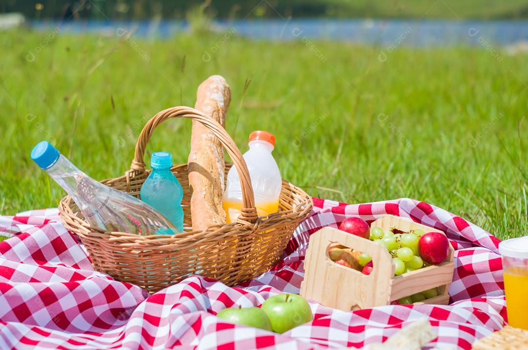 Grande conceito de pic-nic, pic-nic com frutas e suco no gramado verde com bela vista