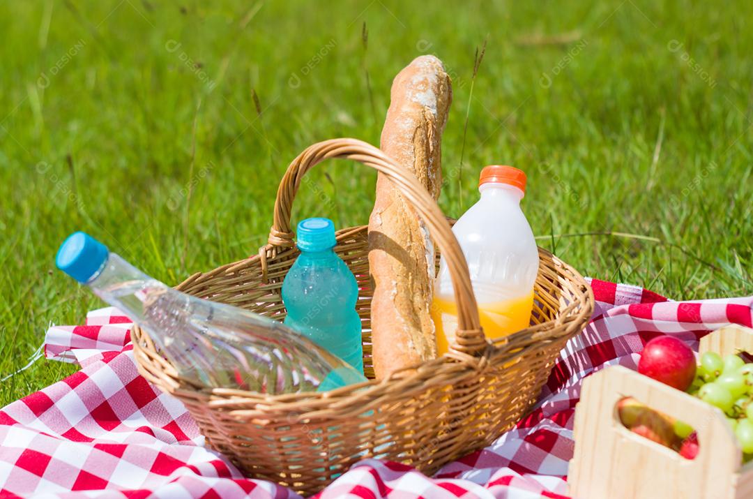 Grande conceito de pic-nic, pic-nic com frutas e suco no gramado verde com bela vista