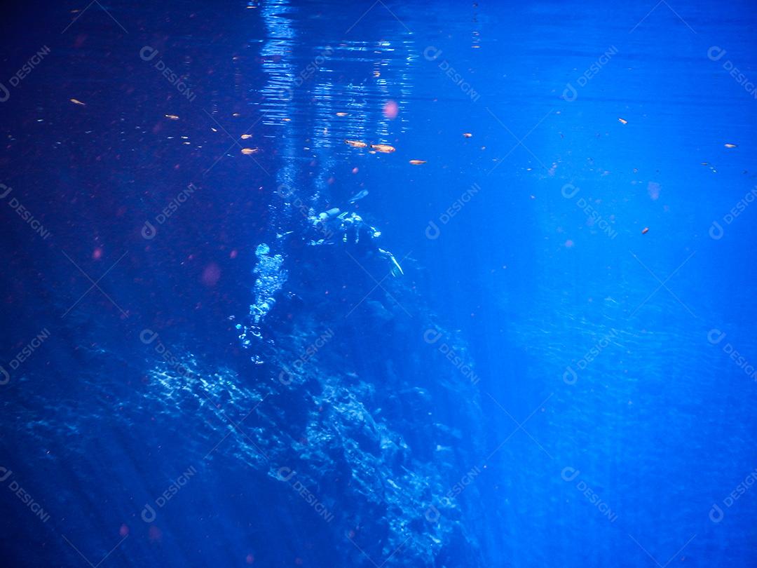 Praticando mergulho e snorkeling, lagoa misteriosa, lindo l