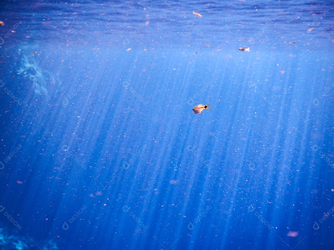 Lagoa misteriosa, bela lagoa de águas transparentes de azul turquesa, localizada na cidade de Bonito