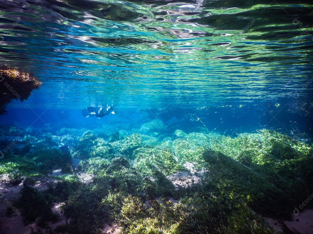 Praticando mergulho e snorkeling, lagoa misteriosa, lindo l