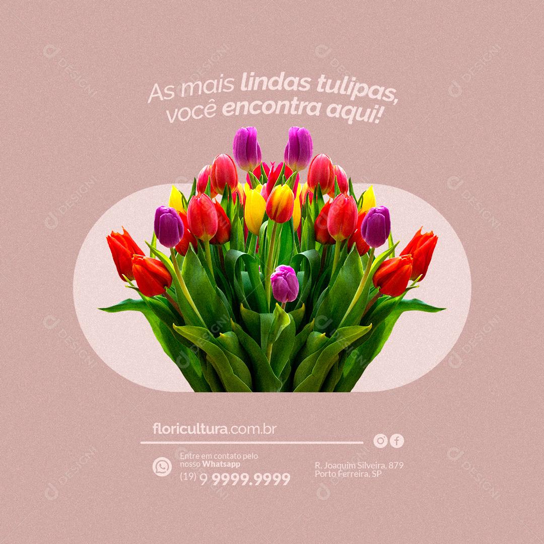 Social Media As Mais Lindas Tulipas Você Encontra Aqui Floricultura PSD Editável