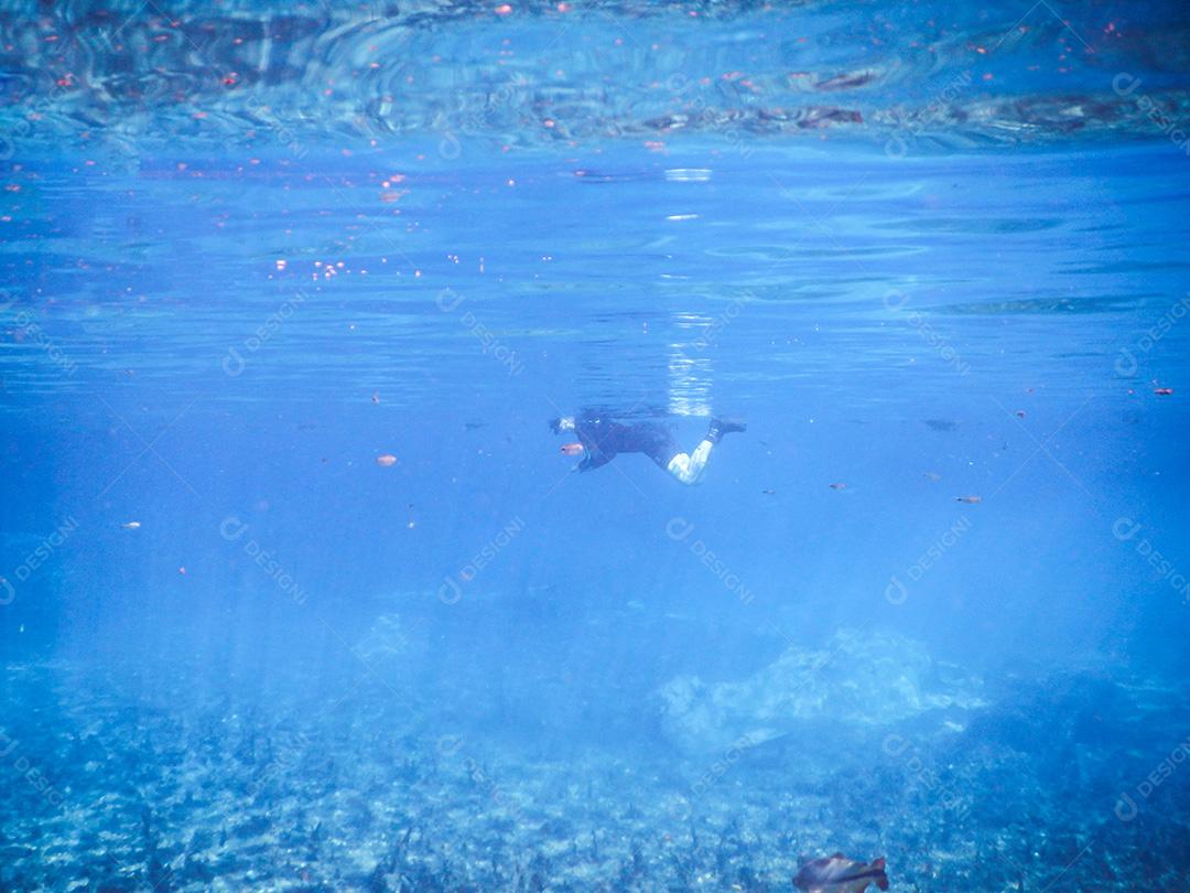 Praticando mergulho e snorkeling, lagoa misteriosa, lindo l