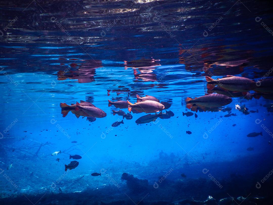 Lagoa misteriosa, bela lagoa de águas transparentes de tur