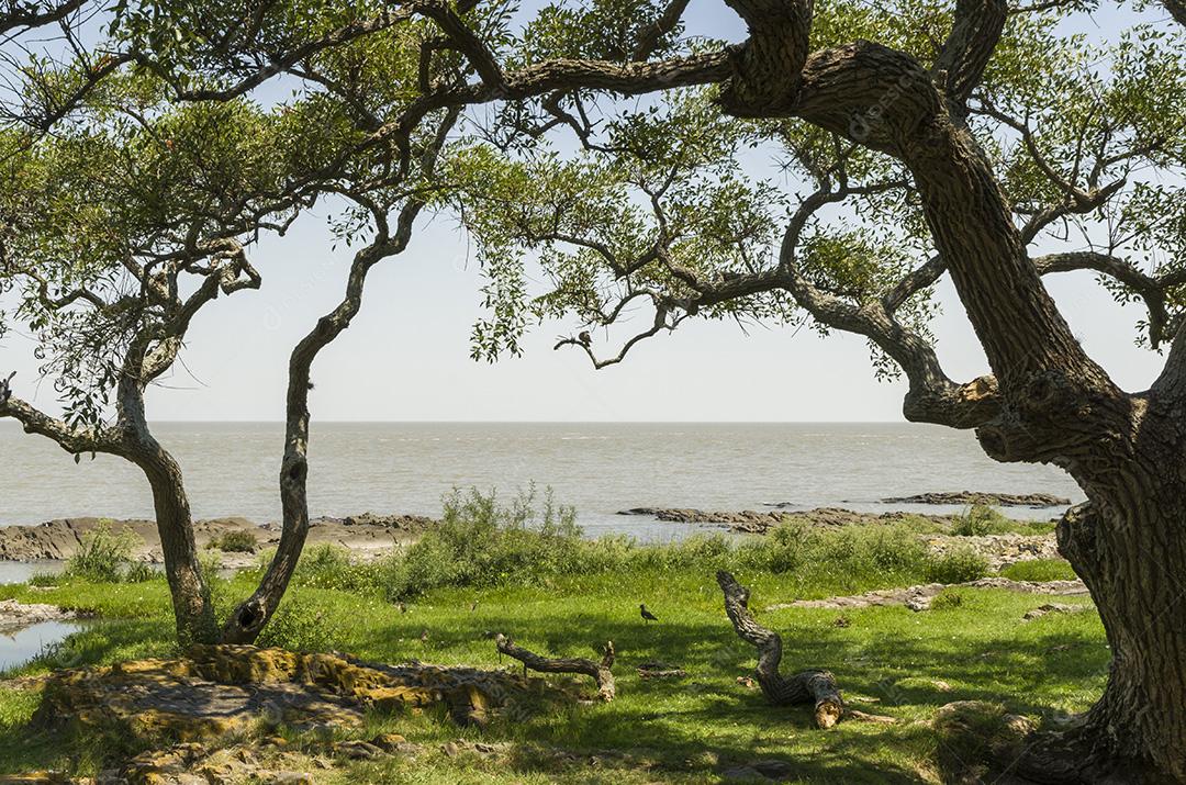 Colonia del Sacramento, Uruguai - 14 de janeiro de 2022 - Colonia del