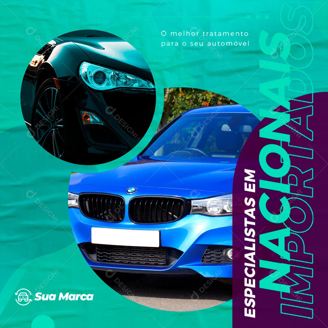 Temos Os Melhores Mecânicos Especializado Em Nacionais E Importados Social Media PSD Editável