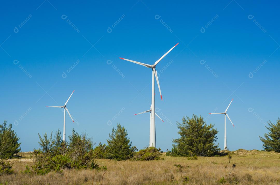 Energia renovável e sustentável. Campo de vento com turbinas eólicas, produzindo energia eólica