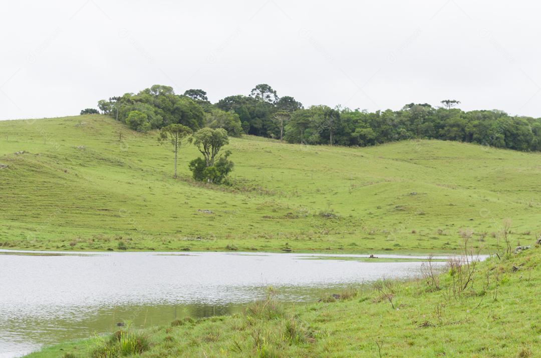 Paisagem da serra gaúcha,