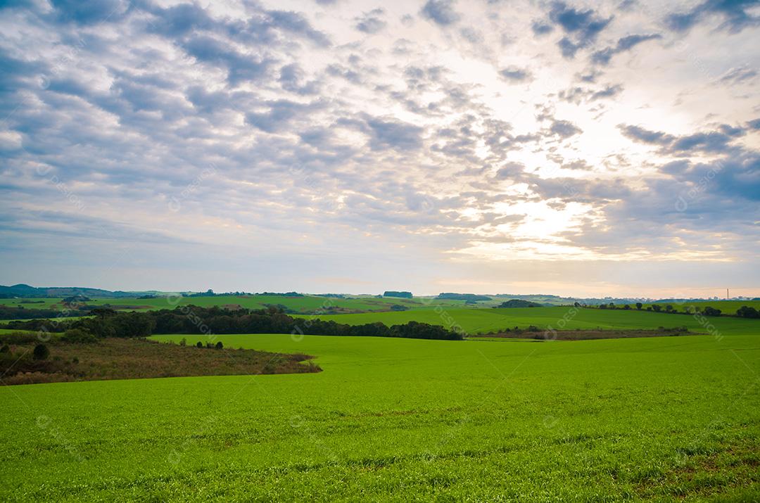 Bela paisagem de campo verde e céu nublado