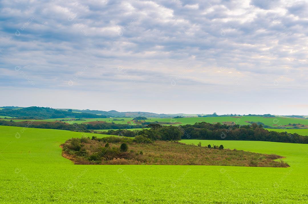 Bela paisagem de campo verde e céu nublado