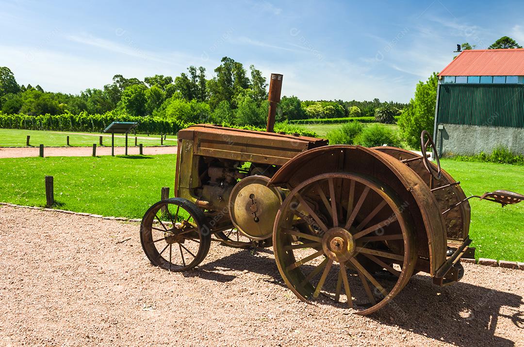 MONTEVIDÉU, URUGUAI - 24 de dezembro de 2016: Famosa Bodega Bouza, adega de vinhos finos do Uruguai.