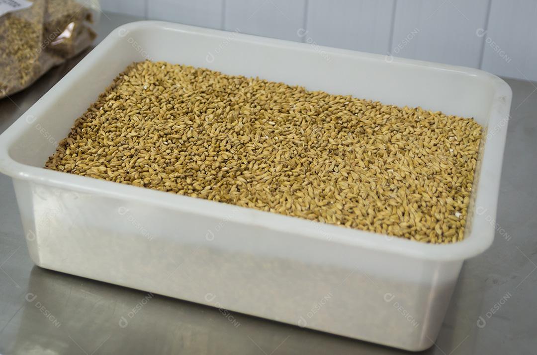 Malte de cevada para cerveja, pale ale, pilsen.