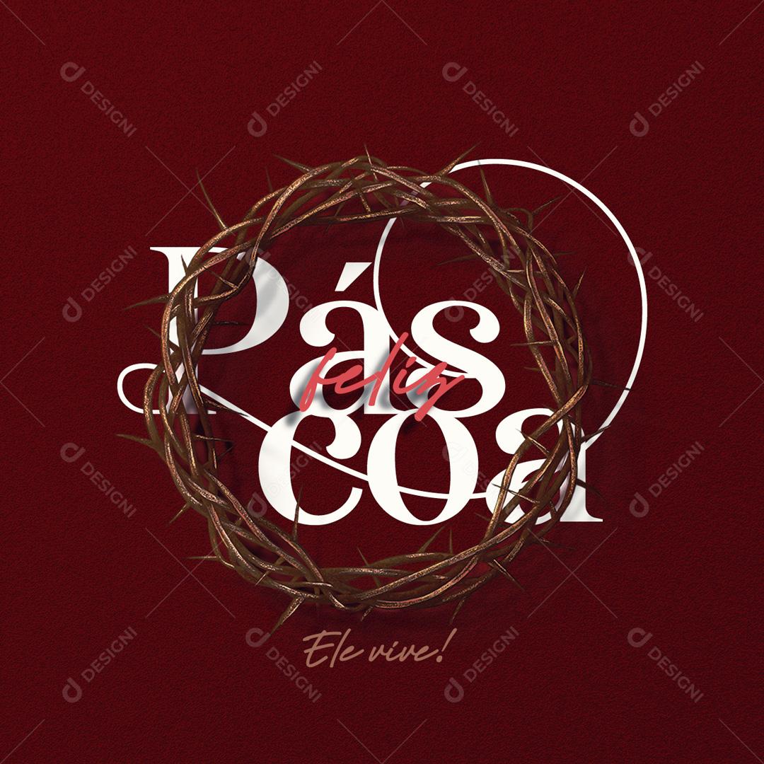Feliz Páscoa Ele Vive Social Media PSD Editável