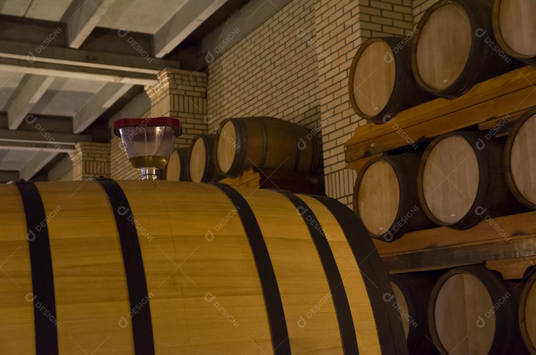 Barricas de carvalho para envelhecimento de vinho em adega subterrânea no Vale dos Vinhedos
