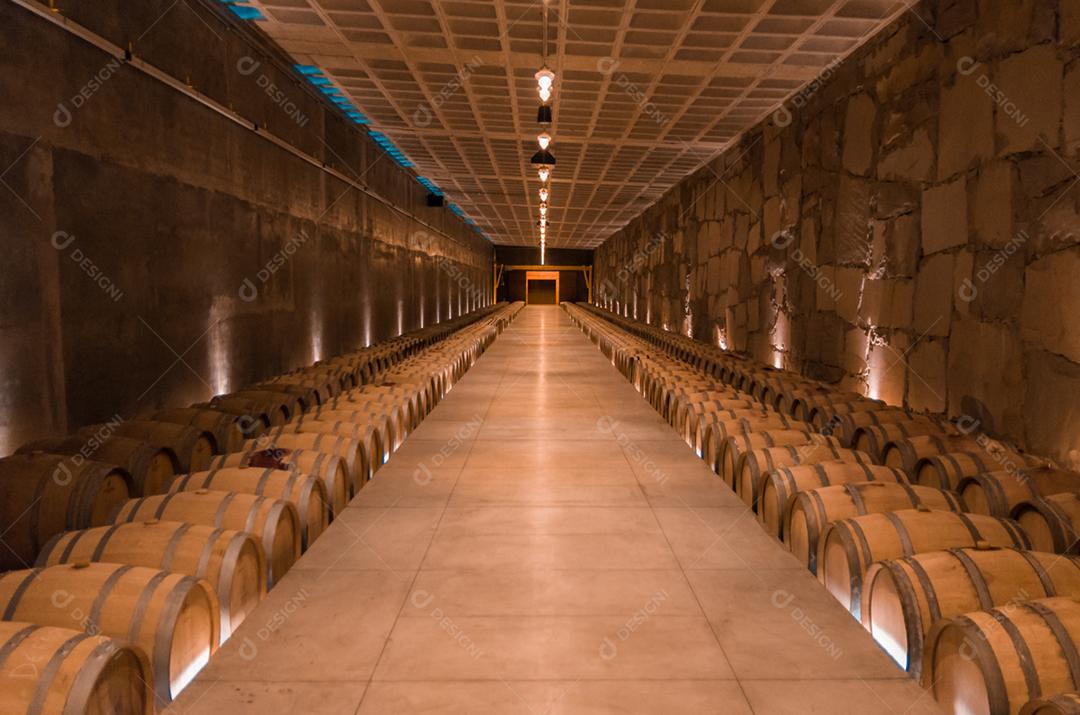 Barricas de carvalho para envelhecimento de vinho em adega subterrânea no Vale dos Vinhedos