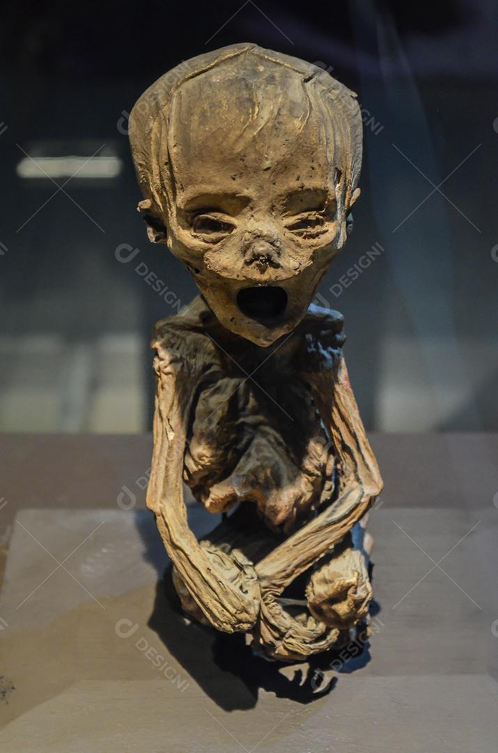 El Museo De Las Momias, múmias de Guanajuato, enterradas em 1833 devido a uma epidemia de cólera