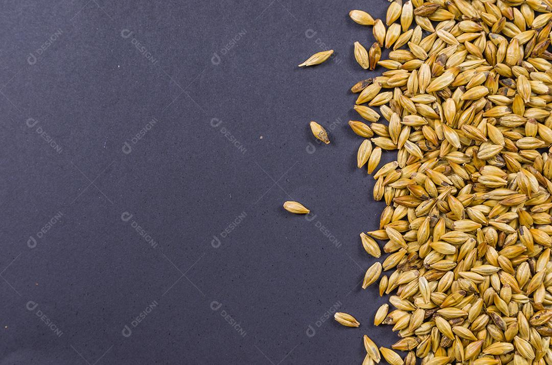 Textura com malte de cevada para cerveja, pale ale, pilsen.