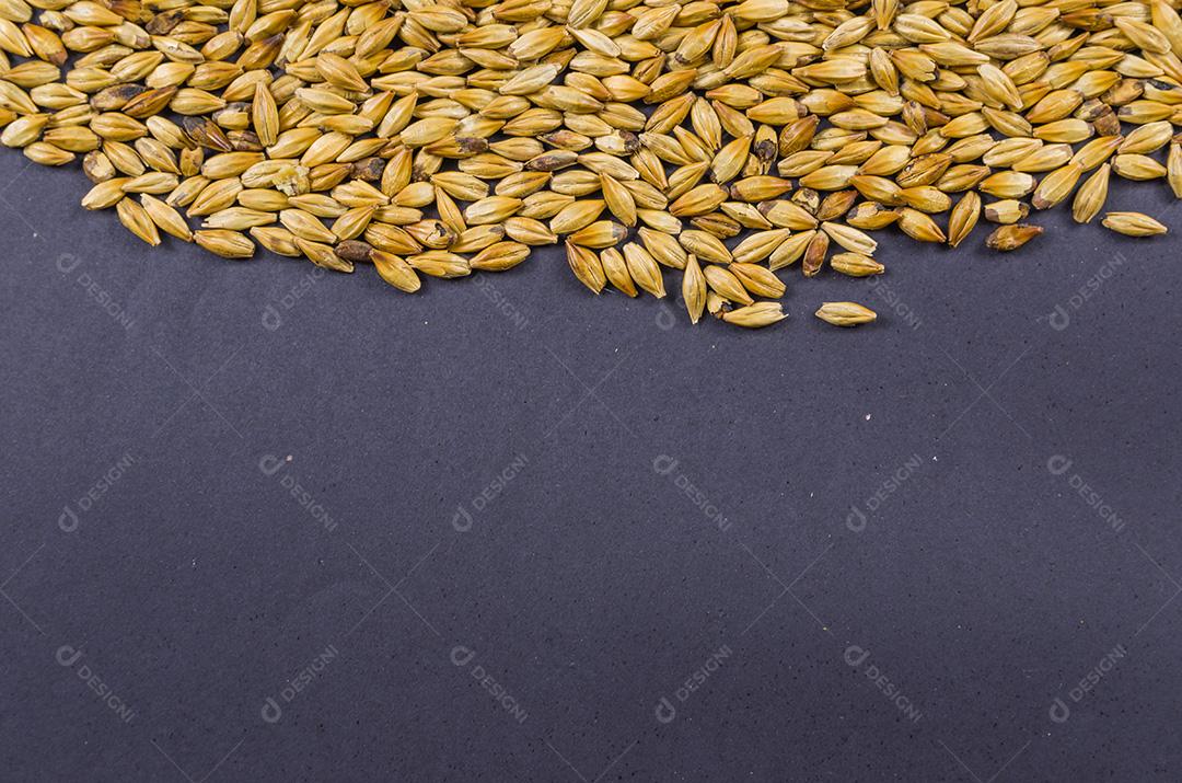 Textura com malte de cevada para cerveja, pale ale, pilsen.