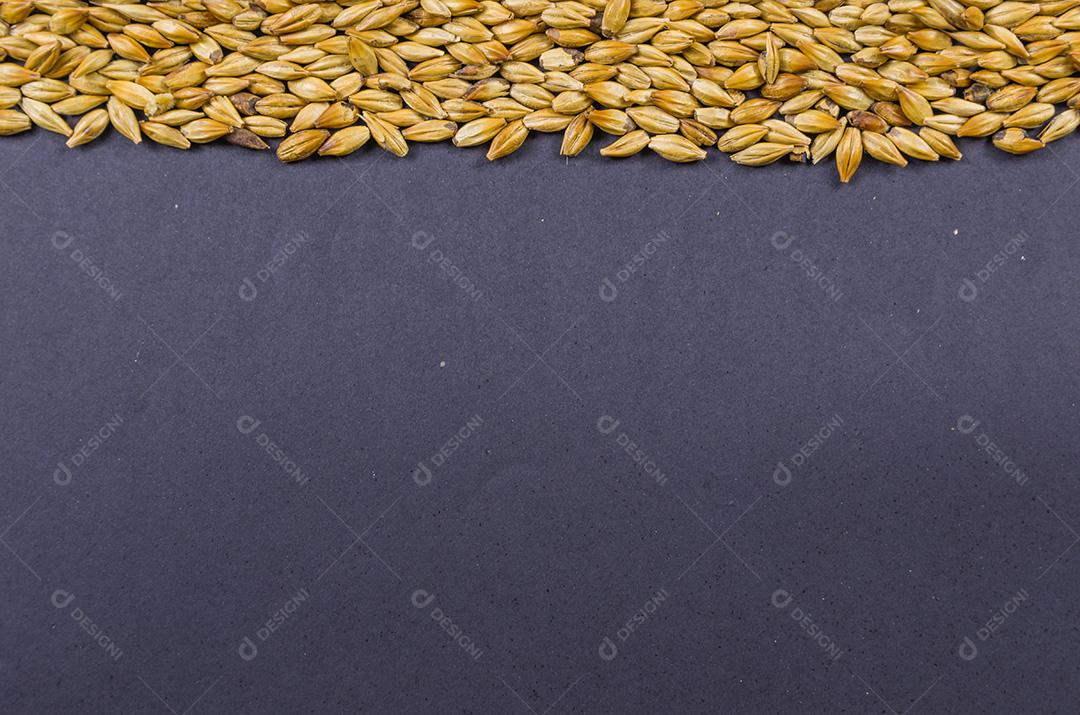 Textura com malte de cevada para cerveja, pale ale, pilsen.