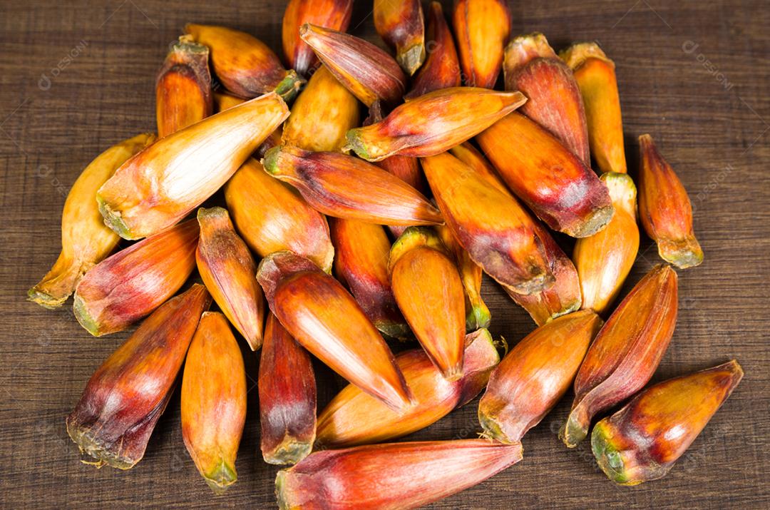 Pinhão, comida tradicional brasileira, semente da auraucária.