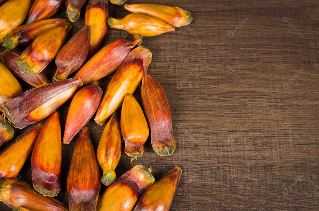 Pinhão, comida tradicional brasileira, semente da auraucária.