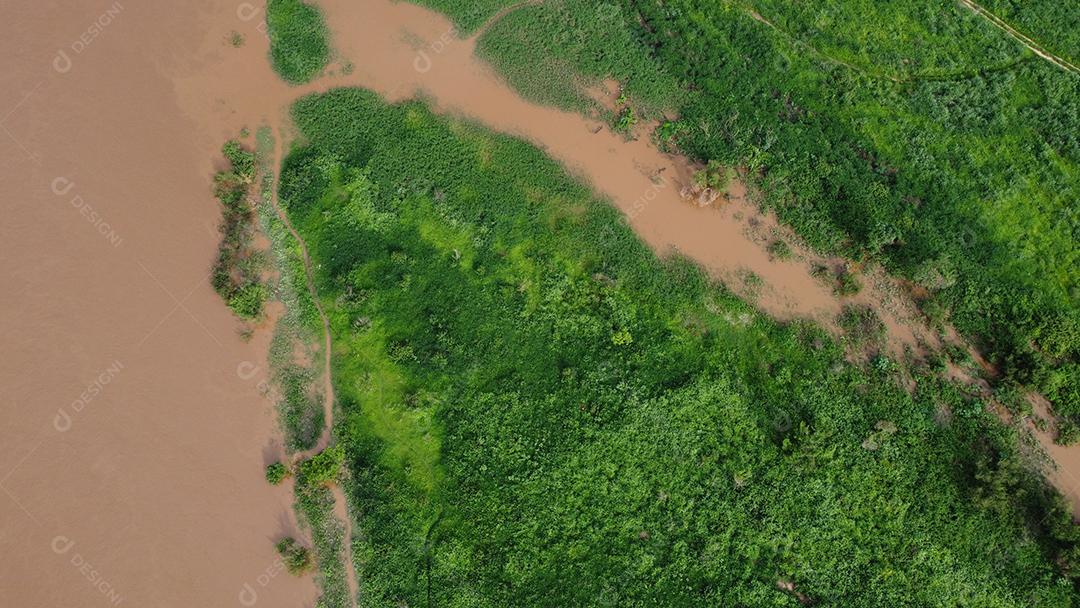 Vista aerea de uma lago floresta arvores