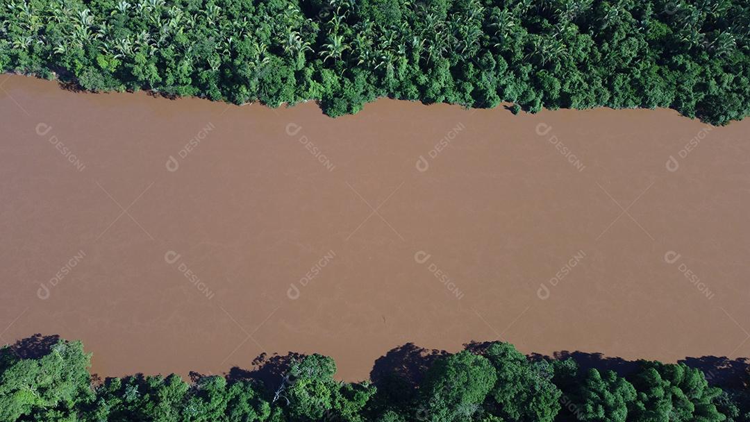 Vista aerea de uma lago floresta arvores