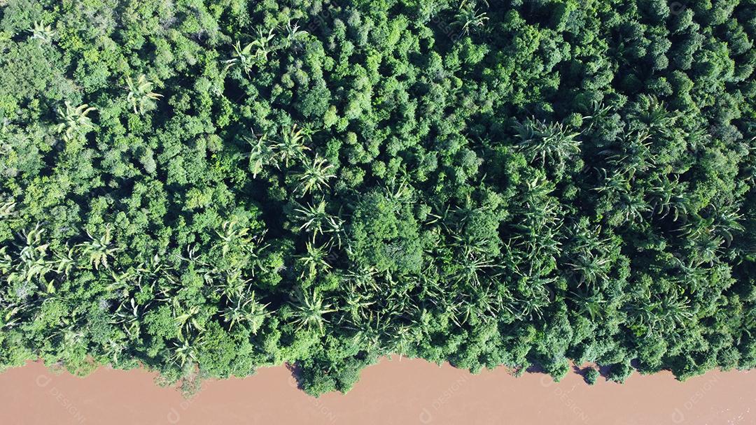 Vista aerea de uma lago floresta arvores