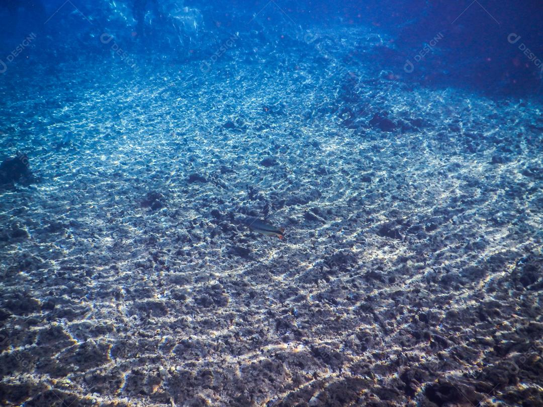 Lagoa misteriosa, bela lagoa de águas transparentes de azul turquesa, localizada na cidade de Bonito