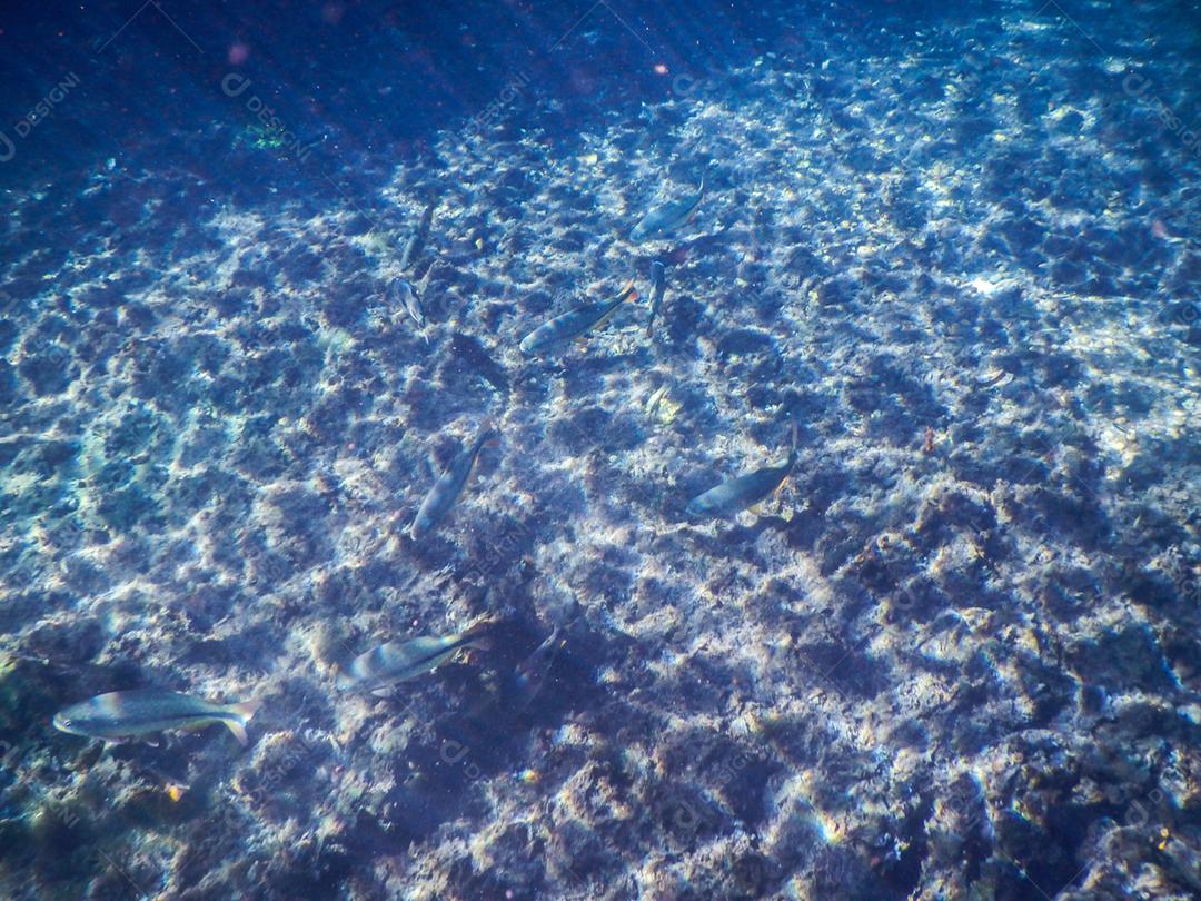 Lagoa misteriosa, bela lagoa de águas transparentes de azul turquesa, localizada na cidade de Bonito