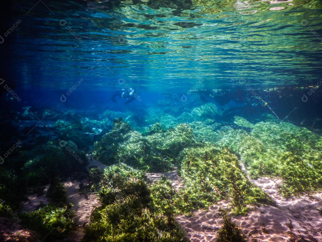 Praticando mergulho e snorkeling, lagoa misteriosa, bela lagoa de água azul turquesa transparente