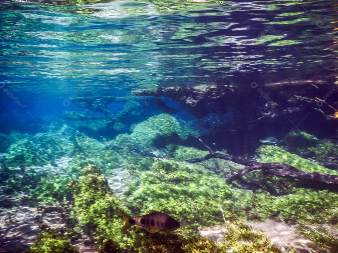 Praticando mergulho e snorkeling, lagoa misteriosa, bela lagoa de água azul turquesa transparente