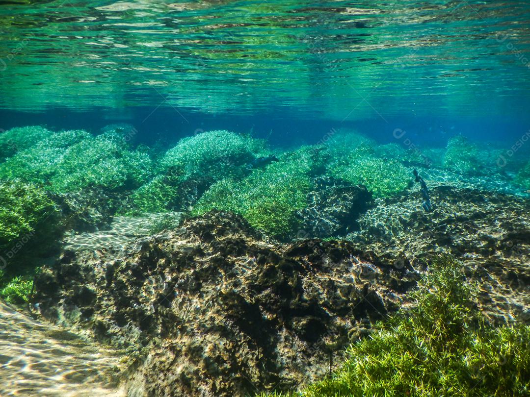 Praticando mergulho e snorkeling, lagoa misteriosa, bela lagoa de água azul turquesa transparente