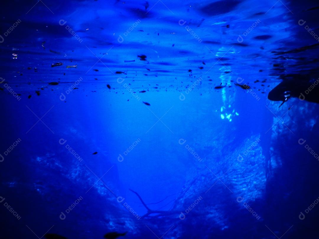 Lagoa misteriosa, bela lagoa de águas transparentes de azul turquesa, localizada na cidade de Bonito