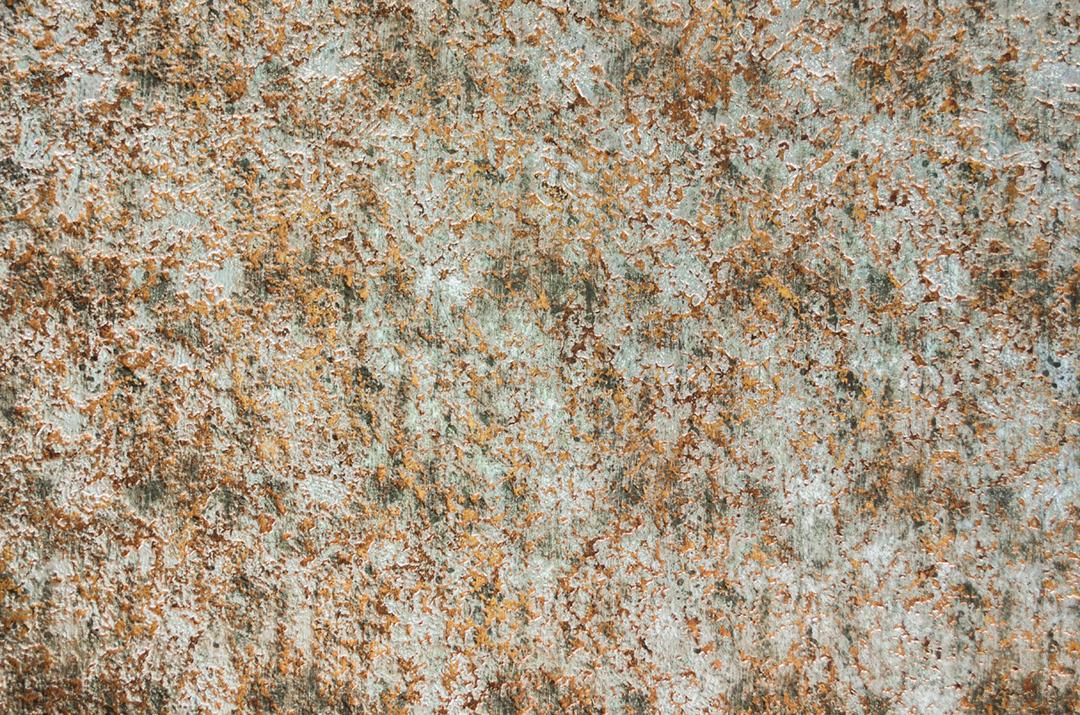 Textura tronco de arvore