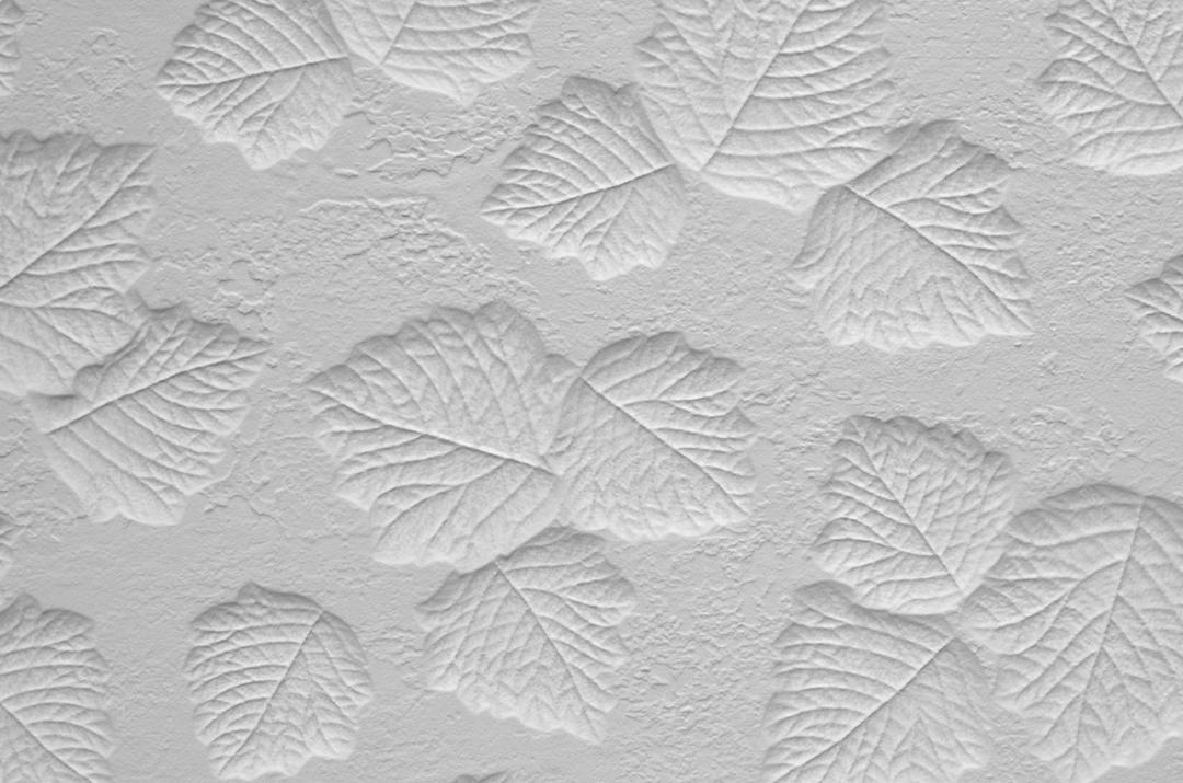 Textura parede branca folhas