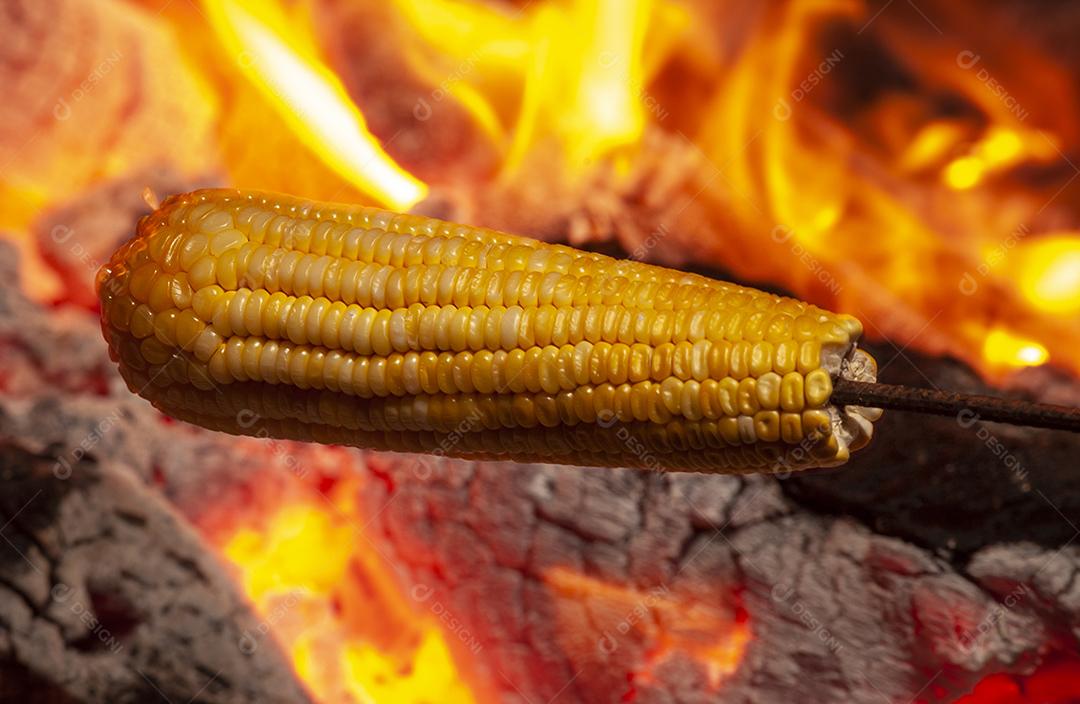 Milho assado na fogueira do festival de São João. Iguaria tradicional das festividades juninas no Nordeste do Brasil. Comida e gastronomia