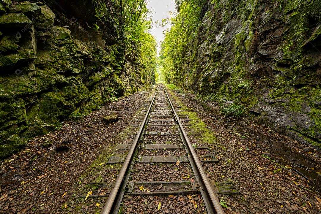 Floresta de travessia ferroviária próxima à entrada do túnel da casa de força em Bento Gonçalves, Rio Grande do Sul, Brasil, em 19 de novembro de 2017._-6